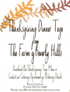 thanksgiving dinner take out